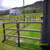 Timber Fencing 1